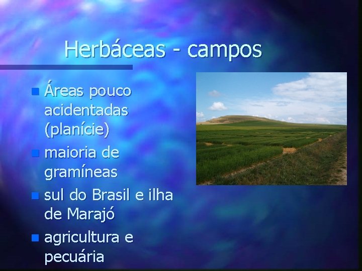 Herbáceas - campos Áreas pouco acidentadas (planície) n maioria de gramíneas n sul do