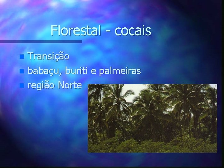 Florestal - cocais Transição n babaçu, buriti e palmeiras n região Norte n 