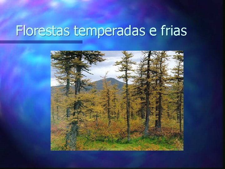 Florestas temperadas e frias 