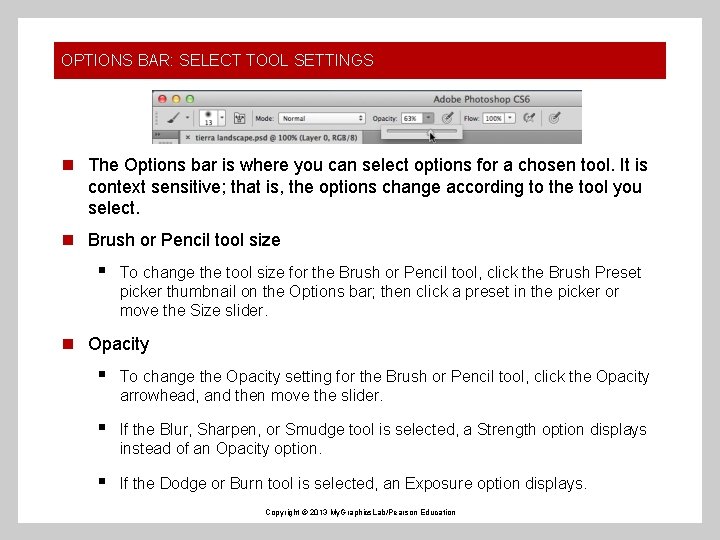OPTIONS BAR: SELECT TOOL SETTINGS n The Options bar is where you can select