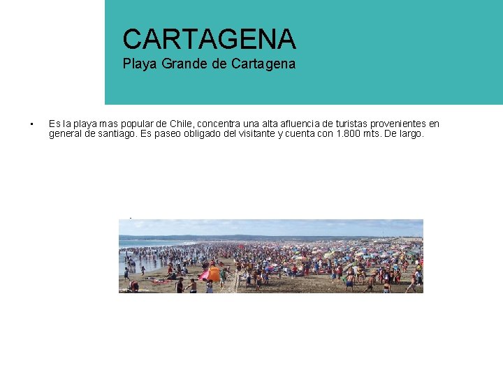 CARTAGENA Playa Grande de Cartagena • Es la playa mas popular de Chile, concentra
