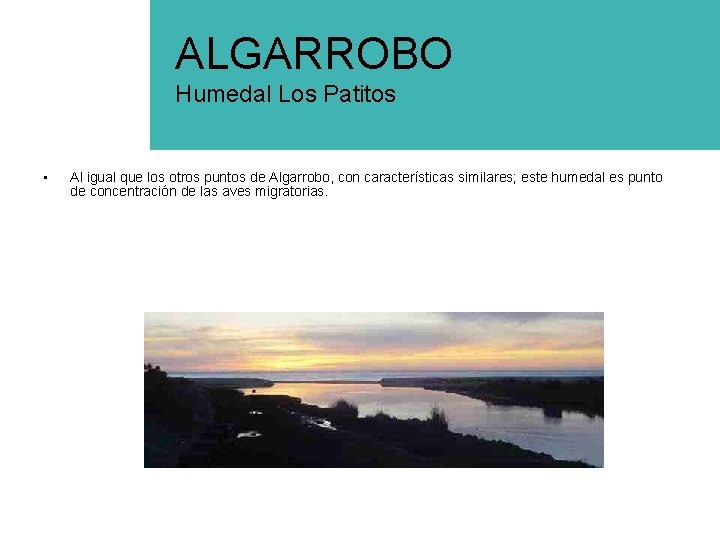ALGARROBO Humedal Los Patitos • Al igual que los otros puntos de Algarrobo, con