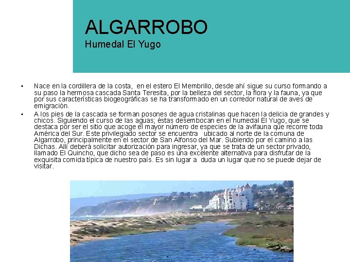 ALGARROBO Humedal El Yugo • • Nace en la cordillera de la costa, en