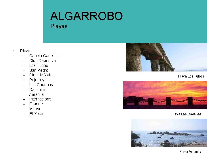 ALGARROBO Playas • Playa: – Canelo Canelillo – Club Deportivo – Los Tubos –