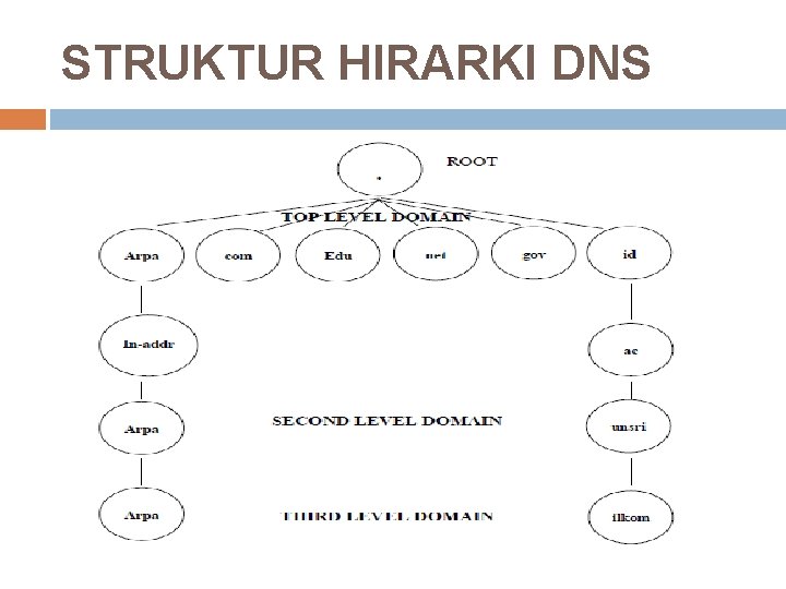 STRUKTUR HIRARKI DNS 