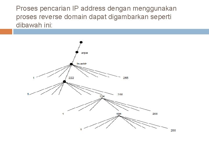 Proses pencarian IP address dengan menggunakan proses reverse domain dapat digambarkan seperti dibawah ini: