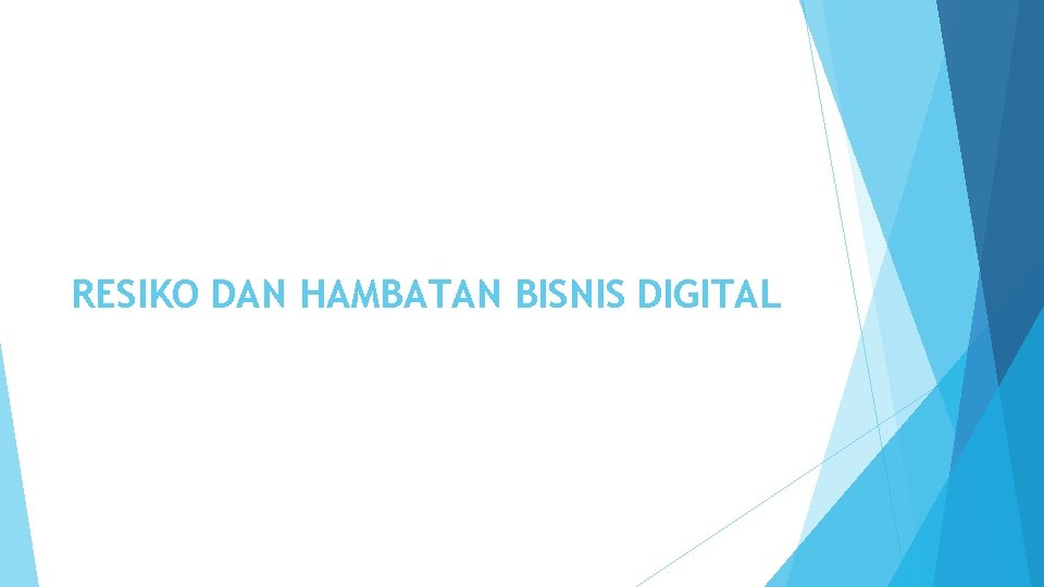 RESIKO DAN HAMBATAN BISNIS DIGITAL 