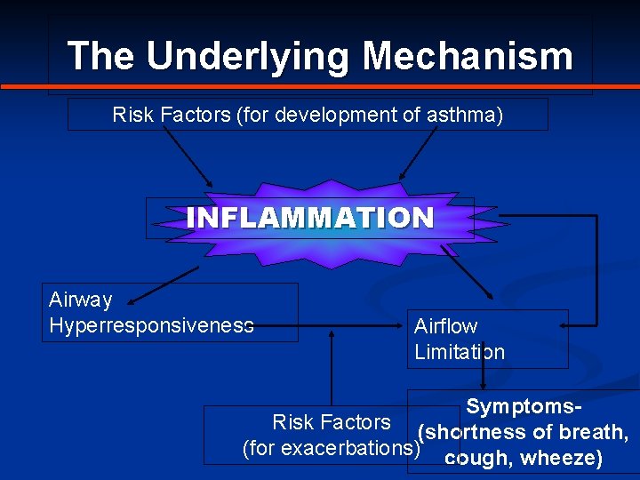 The Underlying Mechanism Risk Factors (for development of asthma) INFLAMMATION Airway Hyperresponsiveness Airflow Limitation
