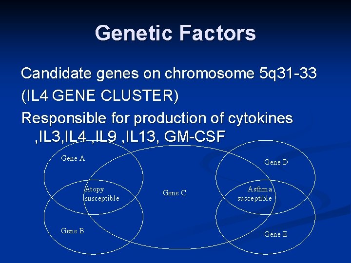 Genetic Factors Candidate genes on chromosome 5 q 31 -33 (IL 4 GENE CLUSTER)