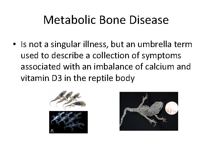 Metabolic Bone Disease • Is not a singular illness, but an umbrella term used