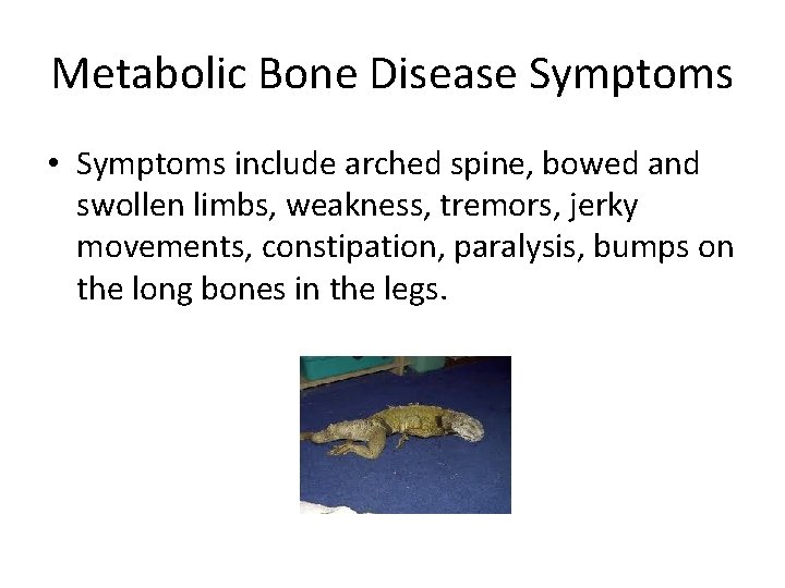 Metabolic Bone Disease Symptoms • Symptoms include arched spine, bowed and swollen limbs, weakness,