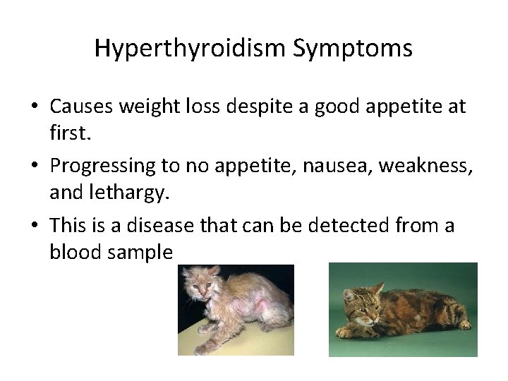 Hyperthyroidism Symptoms • Causes weight loss despite a good appetite at first. • Progressing