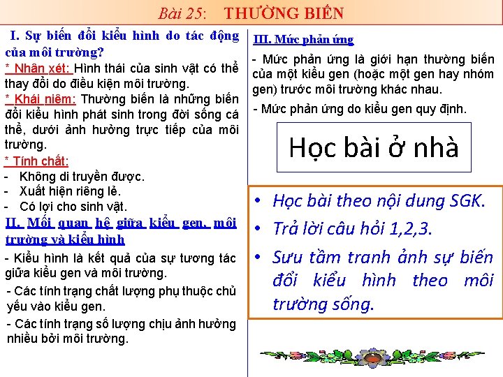 Bài 25: THƯỜNG BIẾN I. Sự biến đổi kiểu hình do tác động III.