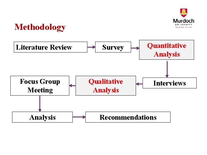 Methodology Literature Review Focus Group Meeting Analysis Survey Quantitative Analysis Qualitative Analysis Interviews Recommendations