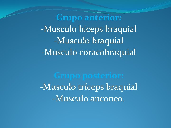 Grupo anterior: -Musculo bíceps braquial -Musculo coracobraquial Grupo posterior: -Musculo tríceps braquial -Musculo anconeo.