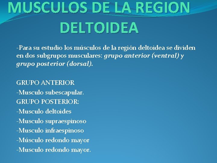 MUSCULOS DE LA REGION DELTOIDEA -Para su estudio los músculos de la región deltoidea