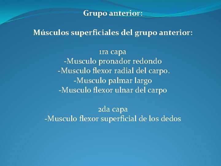 Grupo anterior: Músculos superficiales del grupo anterior: 1 ra capa -Musculo pronador redondo -Musculo
