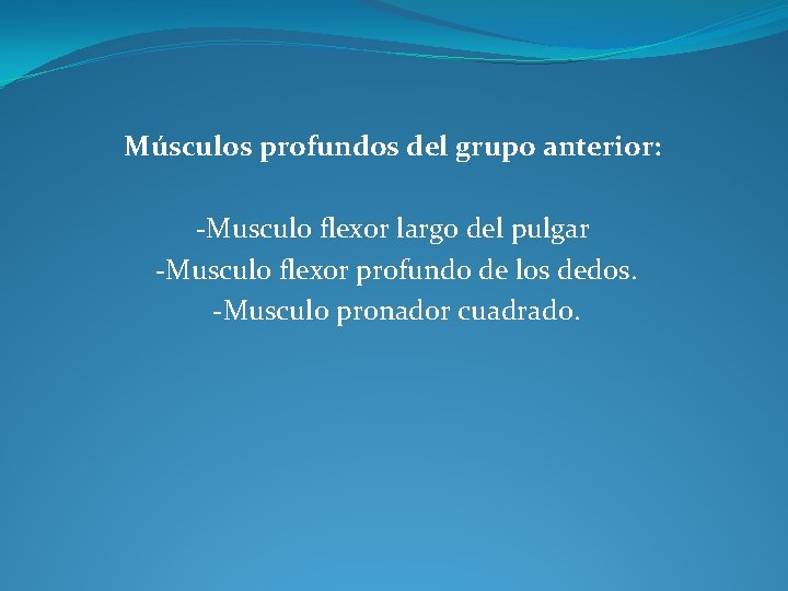 Músculos profundos del grupo anterior: -Musculo flexor largo del pulgar -Musculo flexor profundo de