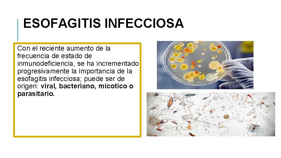 ESOFAGITIS INFECCIOSA Con el reciente aumento de la frecuencia de estado de inmunodeficiencia, se