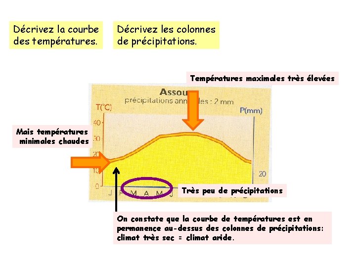 Décrivez la courbe des températures. Décrivez les colonnes de précipitations. Températures maximales très élevées