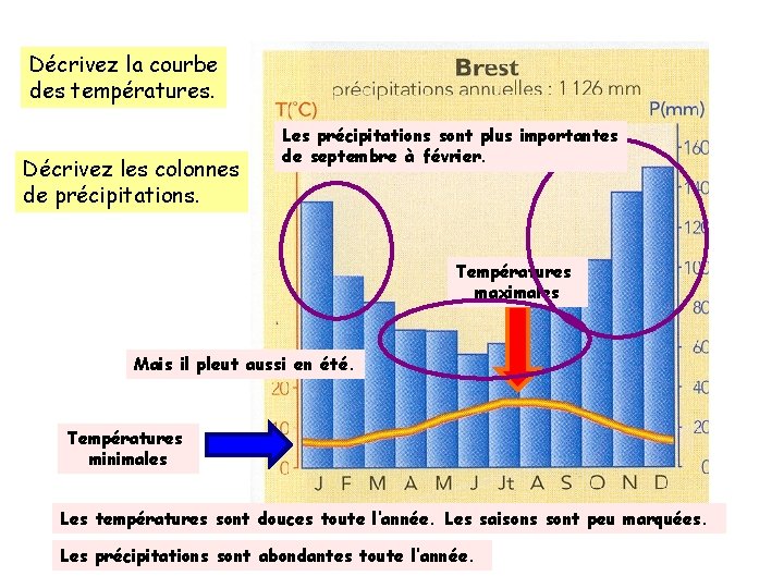 Décrivez la courbe des températures. Décrivez les colonnes de précipitations. Les précipitations sont plus