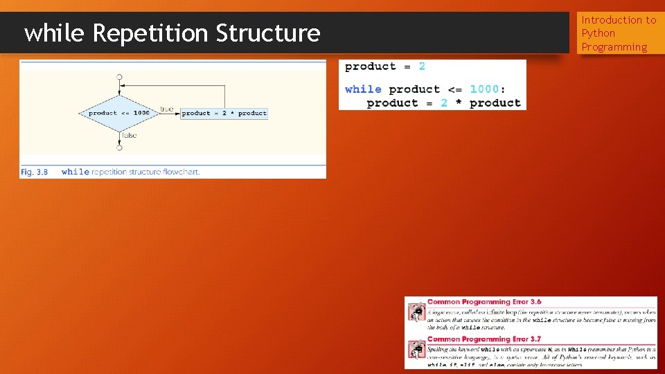while Repetition Structure Introduction to Python Programming 