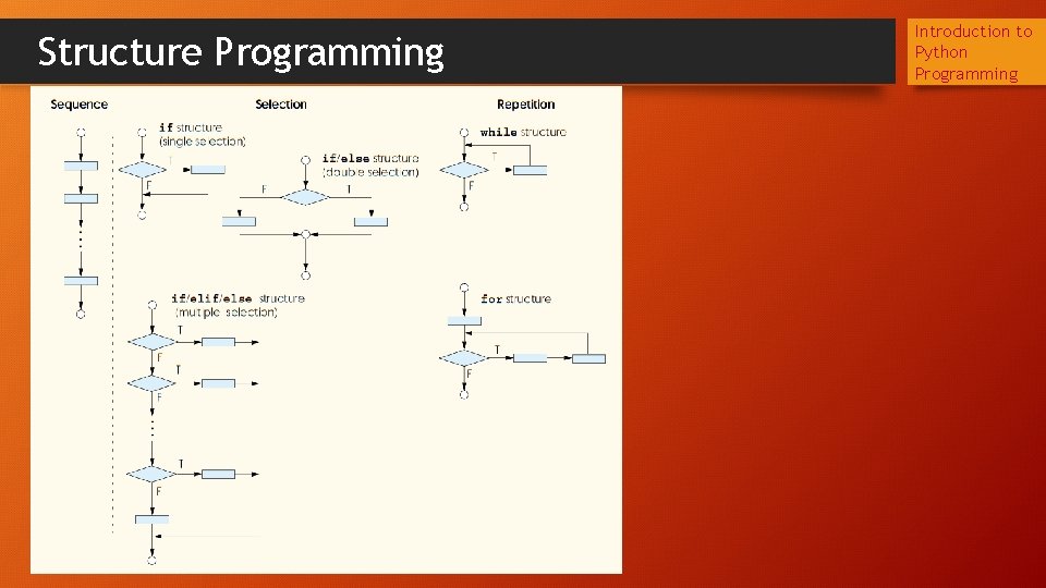 Structure Programming Introduction to Python Programming 