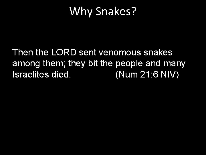 Why Snakes? Then the LORD sent venomous snakes among them; they bit the people