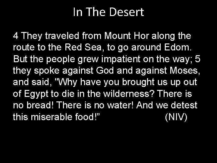 In The Desert 4 They traveled from Mount Hor along the route to the