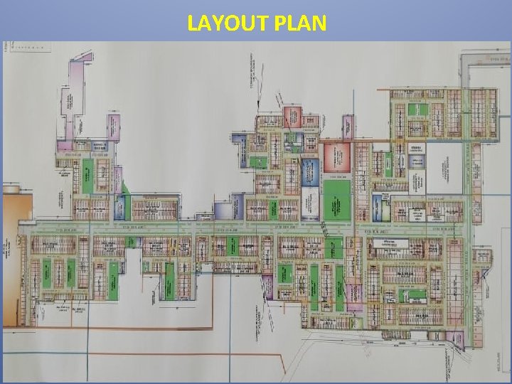LAYOUT PLAN 