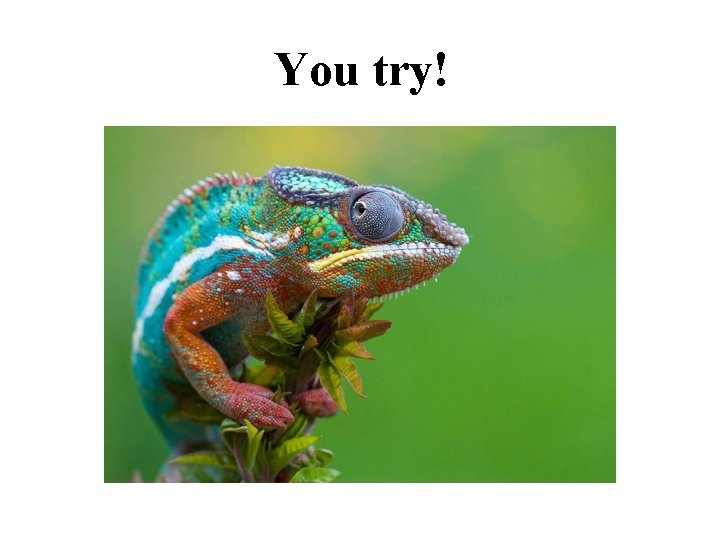 You try! 
