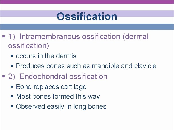 Ossification § 1) Intramembranous ossification (dermal ossification) § occurs in the dermis § Produces