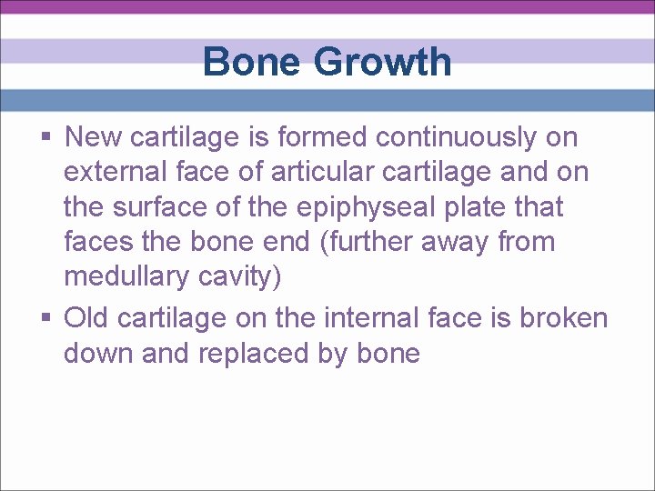 Bone Growth § New cartilage is formed continuously on external face of articular cartilage