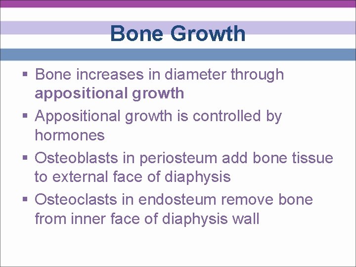Bone Growth § Bone increases in diameter through appositional growth § Appositional growth is