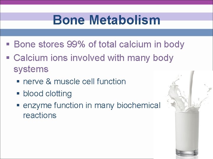 Bone Metabolism § Bone stores 99% of total calcium in body § Calcium ions