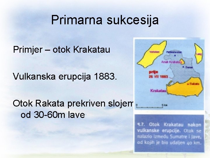 Primarna sukcesija Primjer – otok Krakatau Vulkanska erupcija 1883. Otok Rakata prekriven slojem od