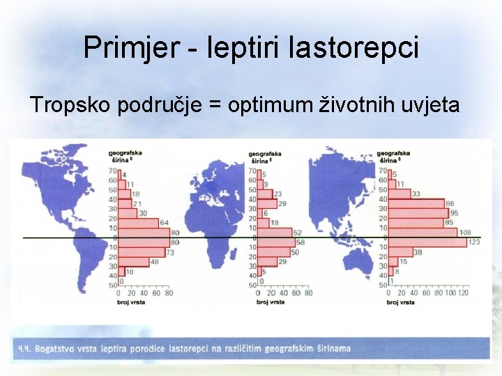 Primjer - leptiri lastorepci Tropsko područje = optimum životnih uvjeta 