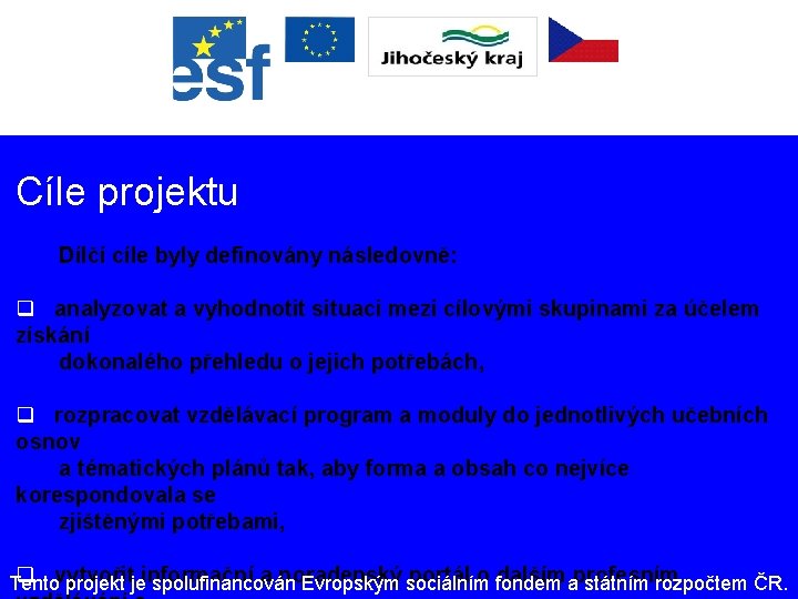 Cíle projektu Dílčí cíle byly definovány následovně: q analyzovat a vyhodnotit situaci mezi cílovými