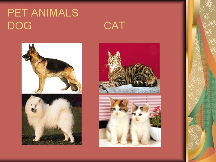 PET ANIMALS DOG CAT 