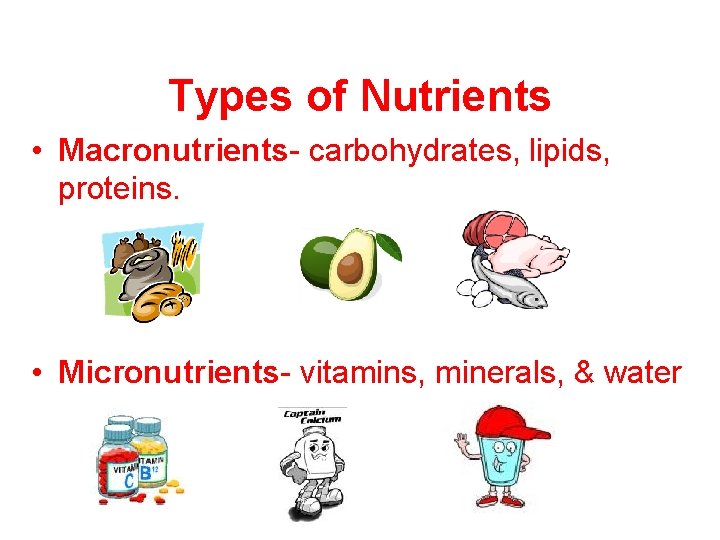 Types of Nutrients • Macronutrients- carbohydrates, lipids, proteins. • Micronutrients- vitamins, minerals, & water