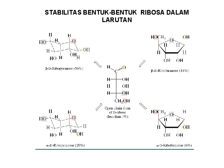 STABILITAS BENTUK-BENTUK RIBOSA DALAM LARUTAN 