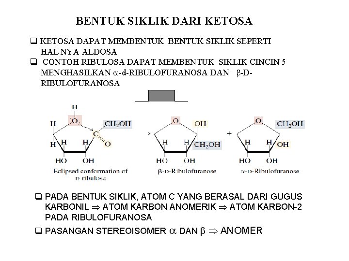 BENTUK SIKLIK DARI KETOSA q KETOSA DAPAT MEMBENTUK SIKLIK SEPERTI HAL NYA ALDOSA q