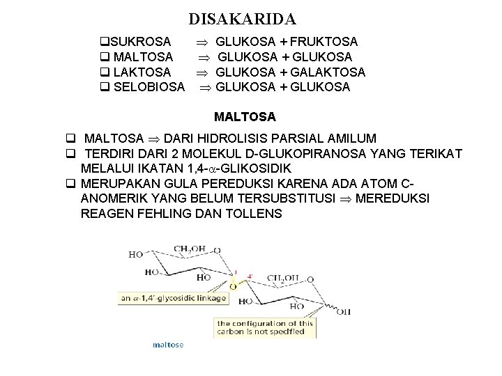 DISAKARIDA q. SUKROSA GLUKOSA + FRUKTOSA q MALTOSA GLUKOSA + GLUKOSA q LAKTOSA GLUKOSA