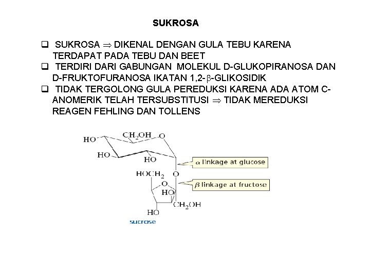 SUKROSA q SUKROSA DIKENAL DENGAN GULA TEBU KARENA TERDAPAT PADA TEBU DAN BEET q