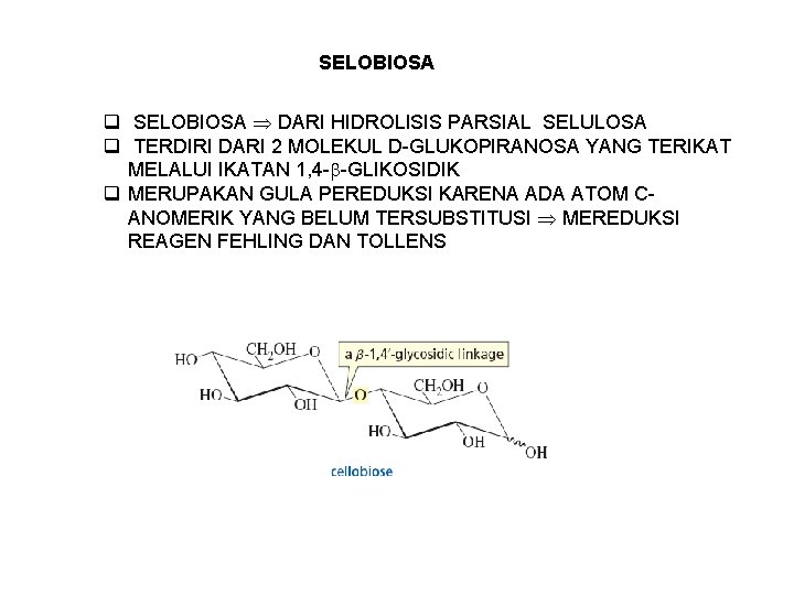SELOBIOSA q SELOBIOSA DARI HIDROLISIS PARSIAL SELULOSA q TERDIRI DARI 2 MOLEKUL D-GLUKOPIRANOSA YANG
