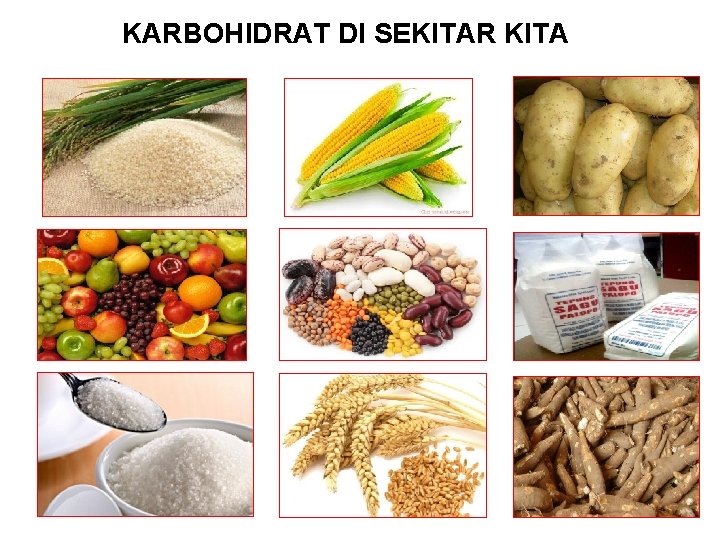 KARBOHIDRAT DI SEKITAR KITA 