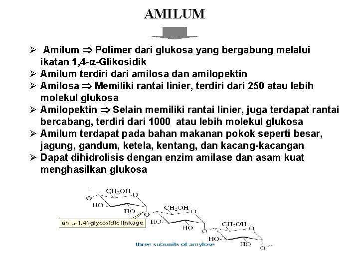 AMILUM Ø Amilum Polimer dari glukosa yang bergabung melalui ikatan 1, 4 - -Glikosidik