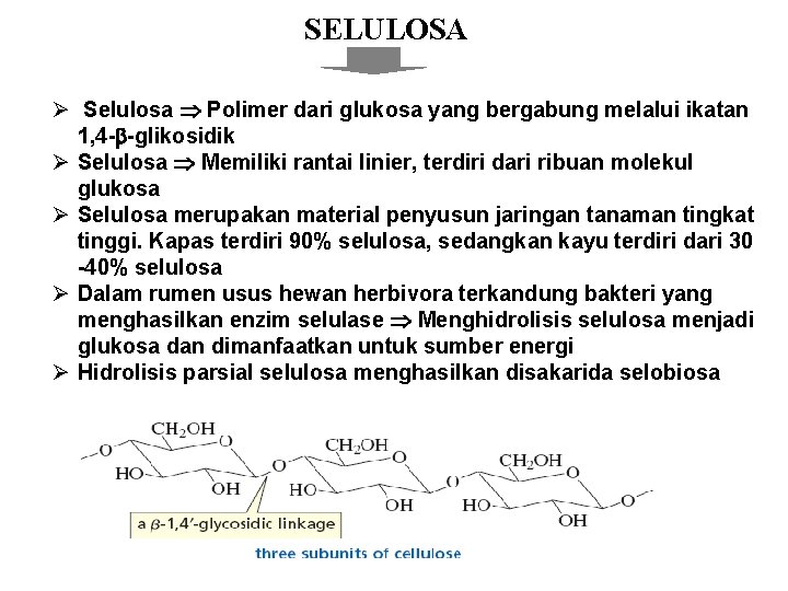 SELULOSA Ø Selulosa Polimer dari glukosa yang bergabung melalui ikatan 1, 4 - -glikosidik