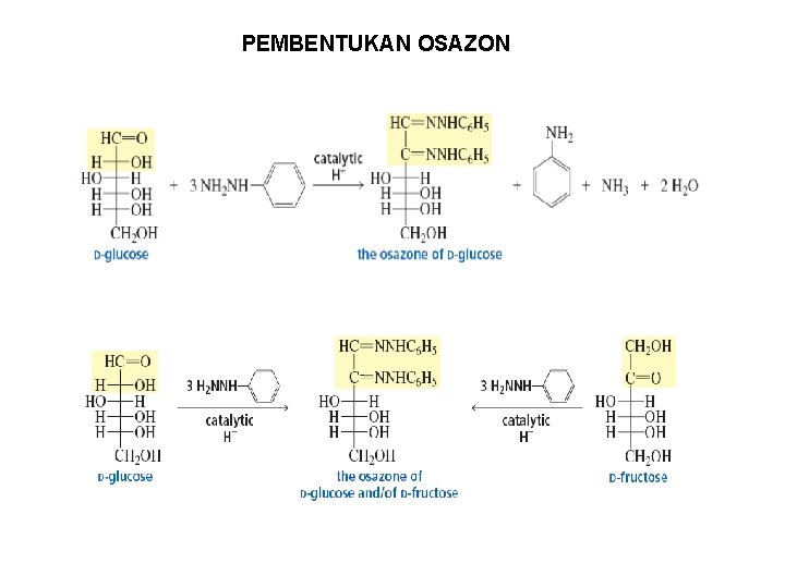 PEMBENTUKAN OSAZON 