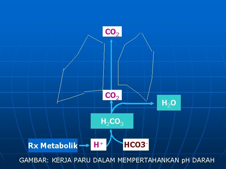 CO 2 H 2 O H 2 CO 3 Rx Metabolik H+ HCO 3